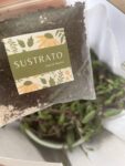 sustrato ayni