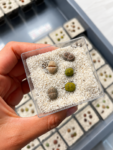 lithops