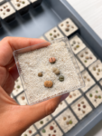 lithops