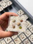 lithops
