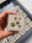 lithops