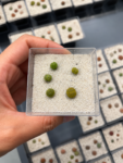 lithops